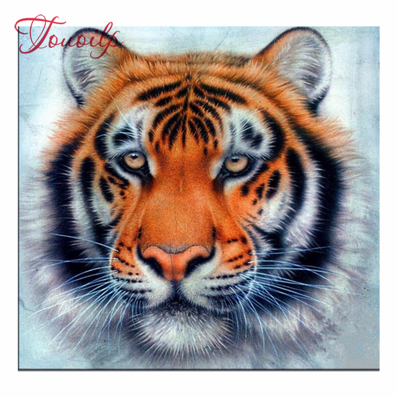 Detail Gambar Muka Harimau Nomer 10