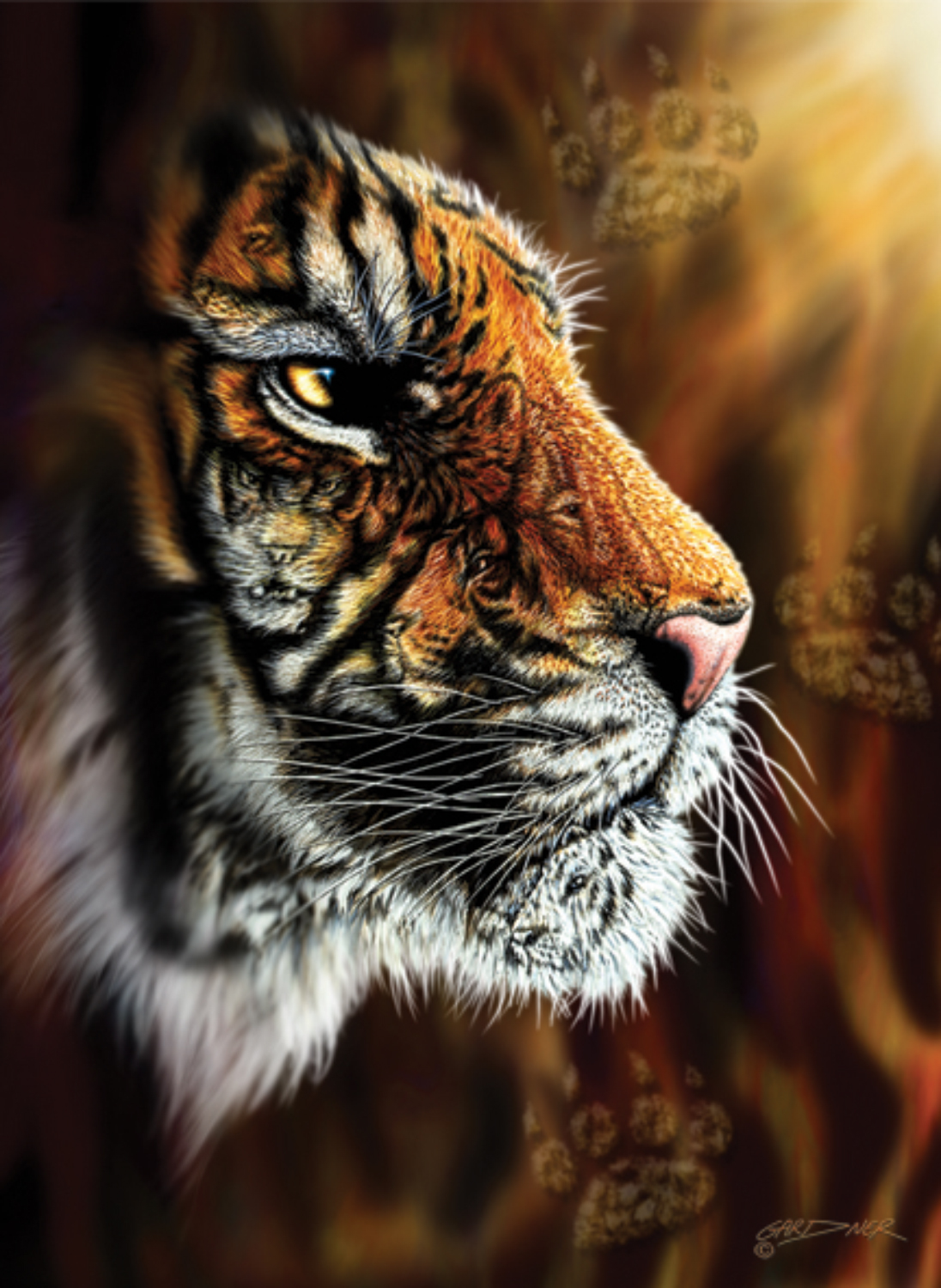 Detail Gambar Muka Harimau Garang Nomer 26