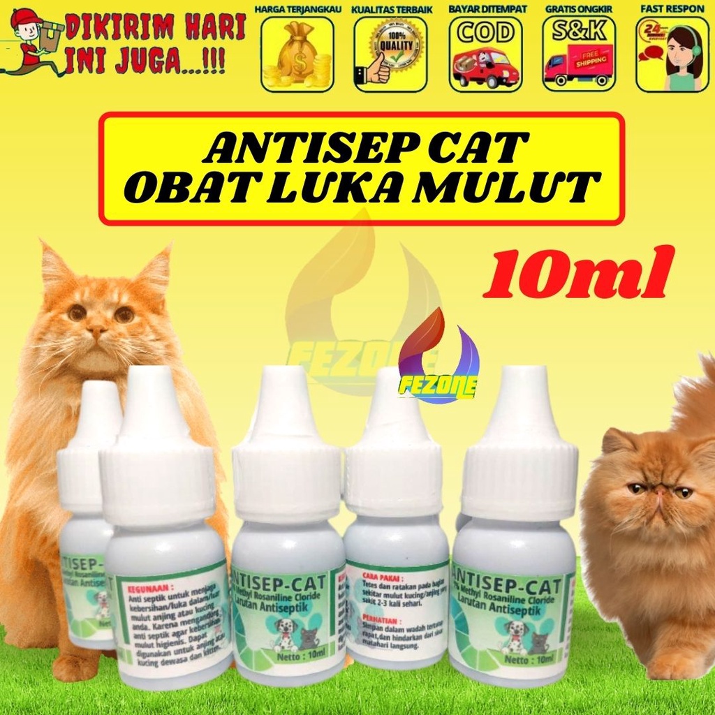 Detail Gambar Mulut Kucing Sariawan Nomer 47