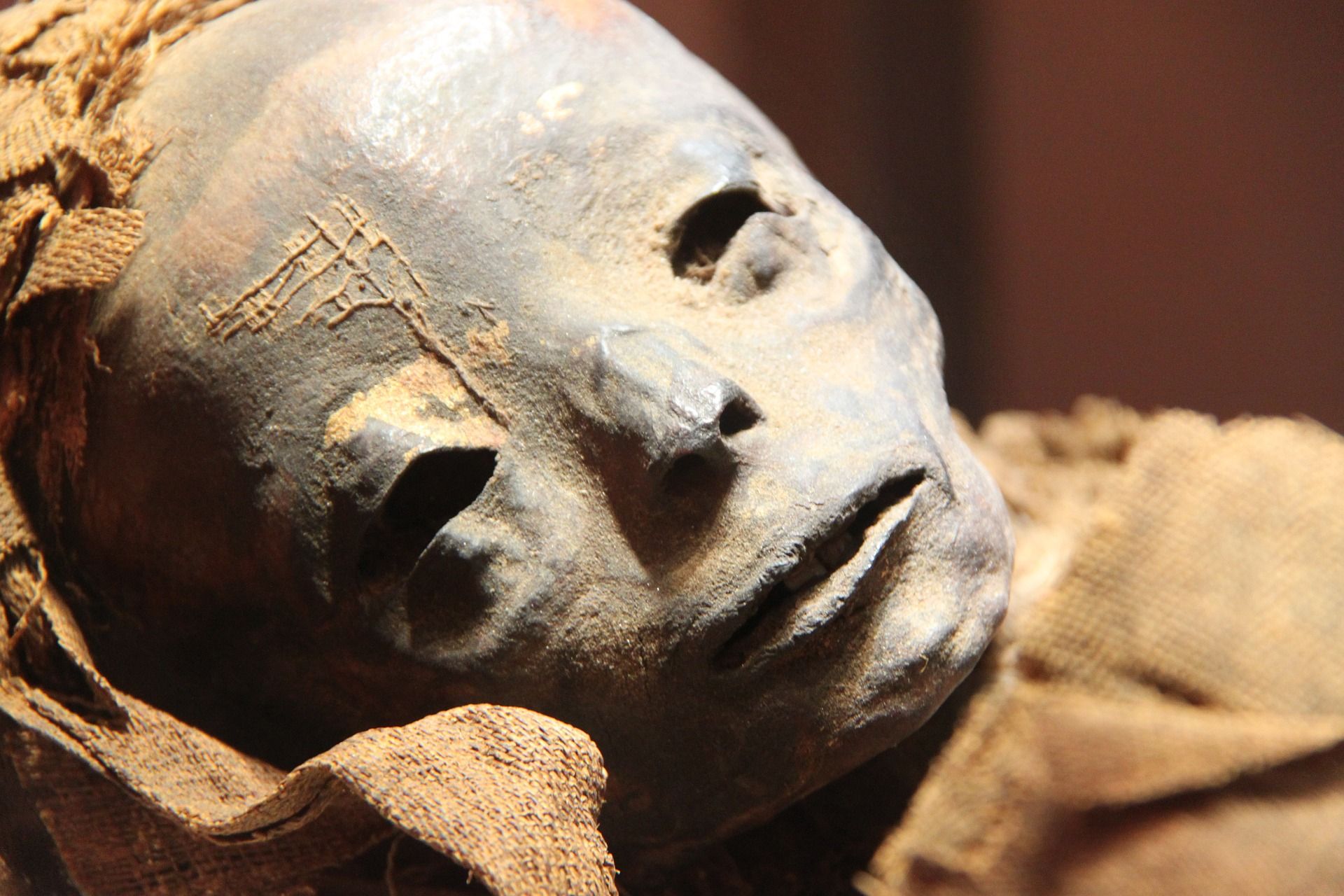 Detail Gambar Mumi Mesir Nomer 26
