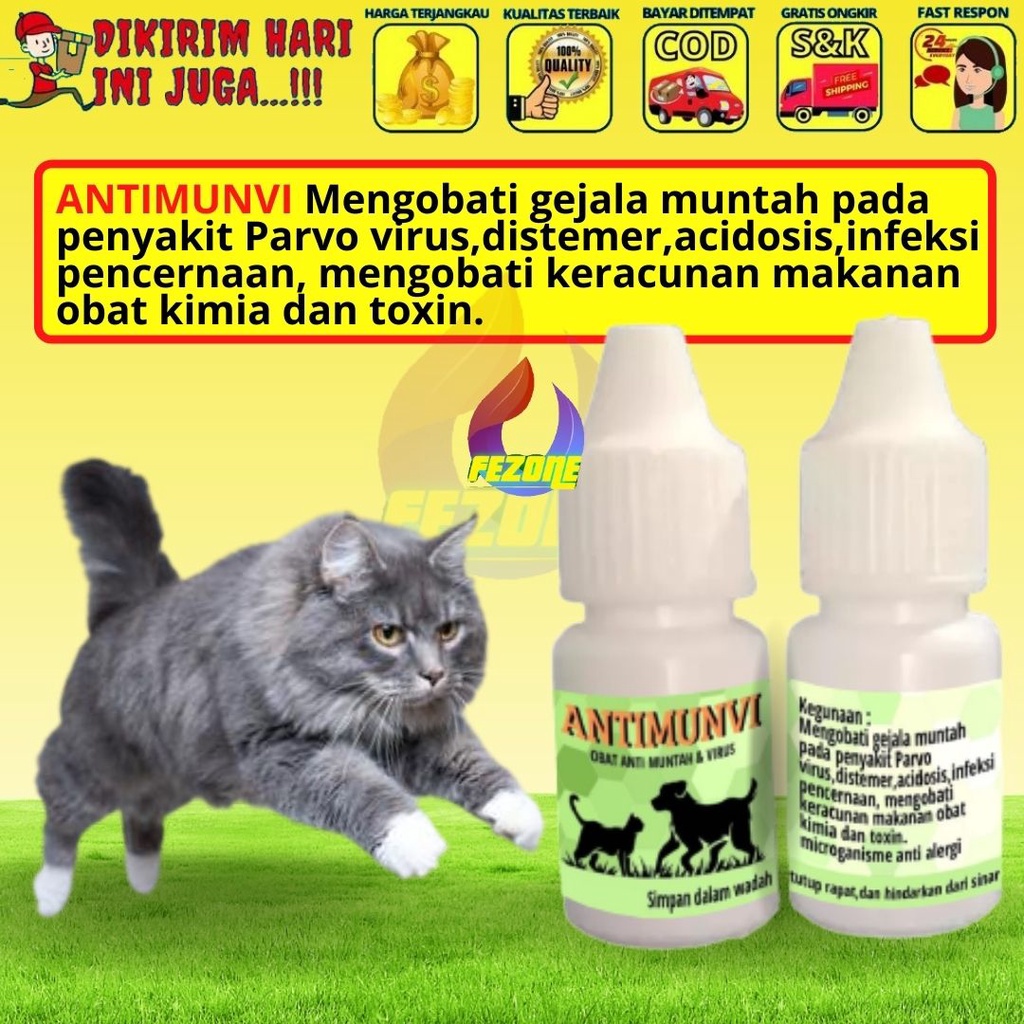 Detail Gambar Muntah Kucing Nomer 23