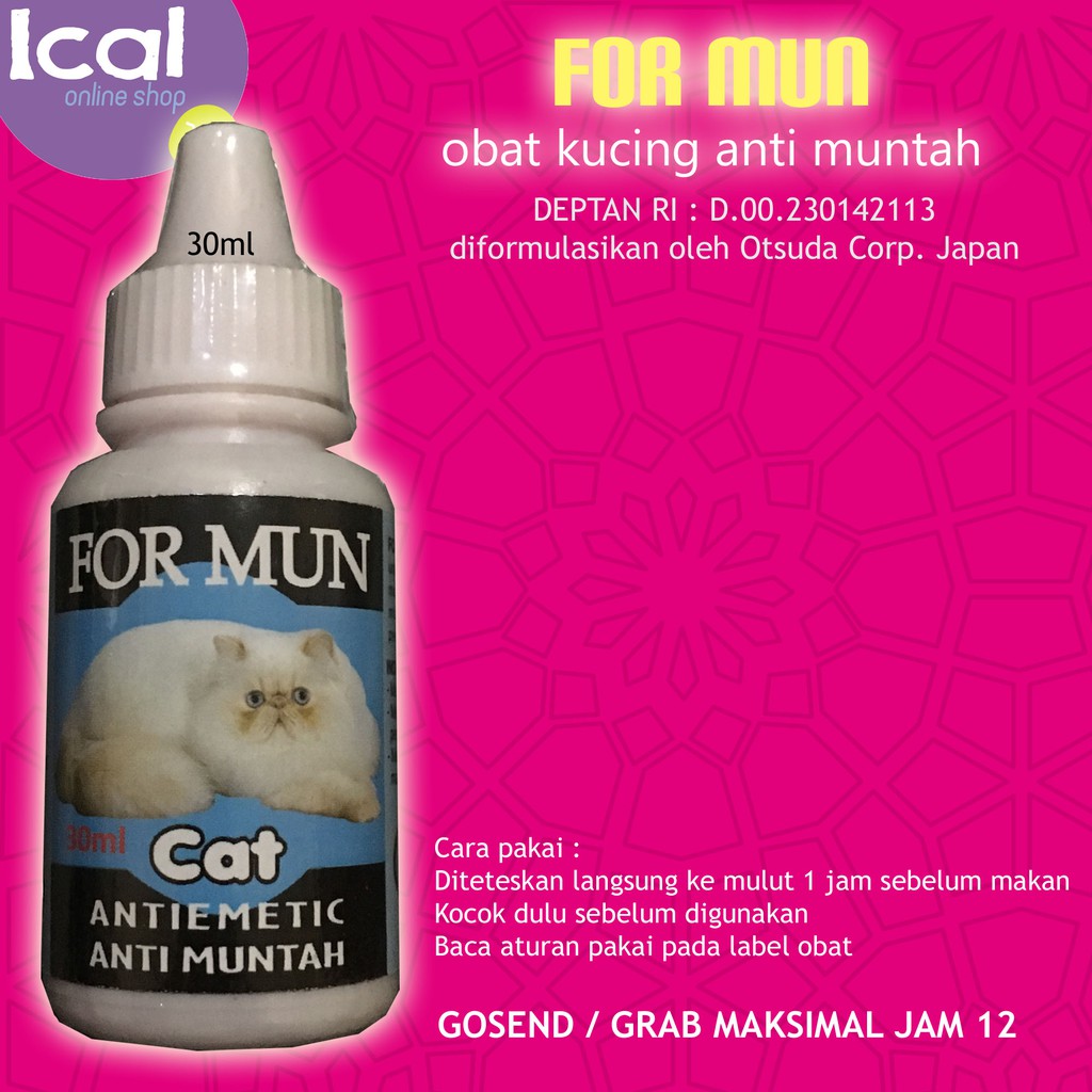 Detail Gambar Muntah Kucing Nomer 48