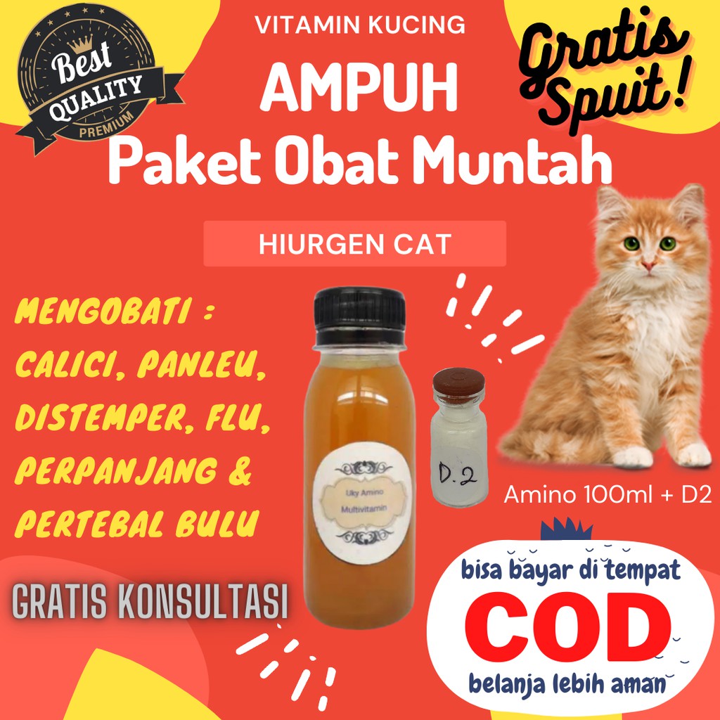 Detail Gambar Muntah Kucing Nomer 52