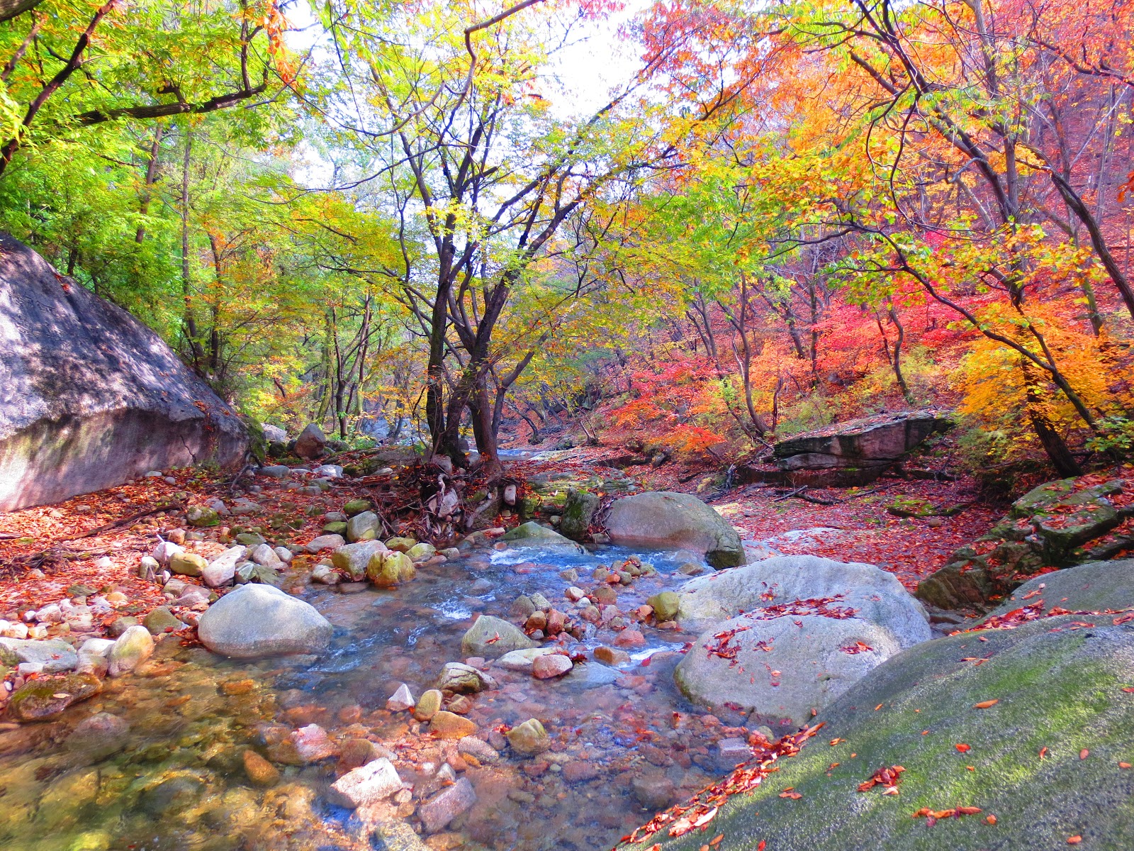 Detail Gambar Musim Gugur Di Korea Nomer 43