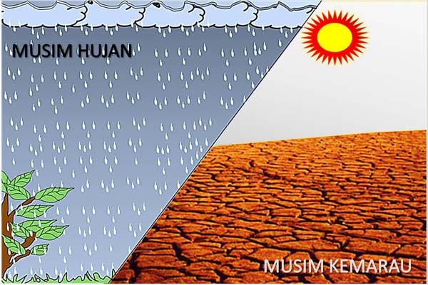 Detail Gambar Musim Hujan Dan Kemarau Nomer 13