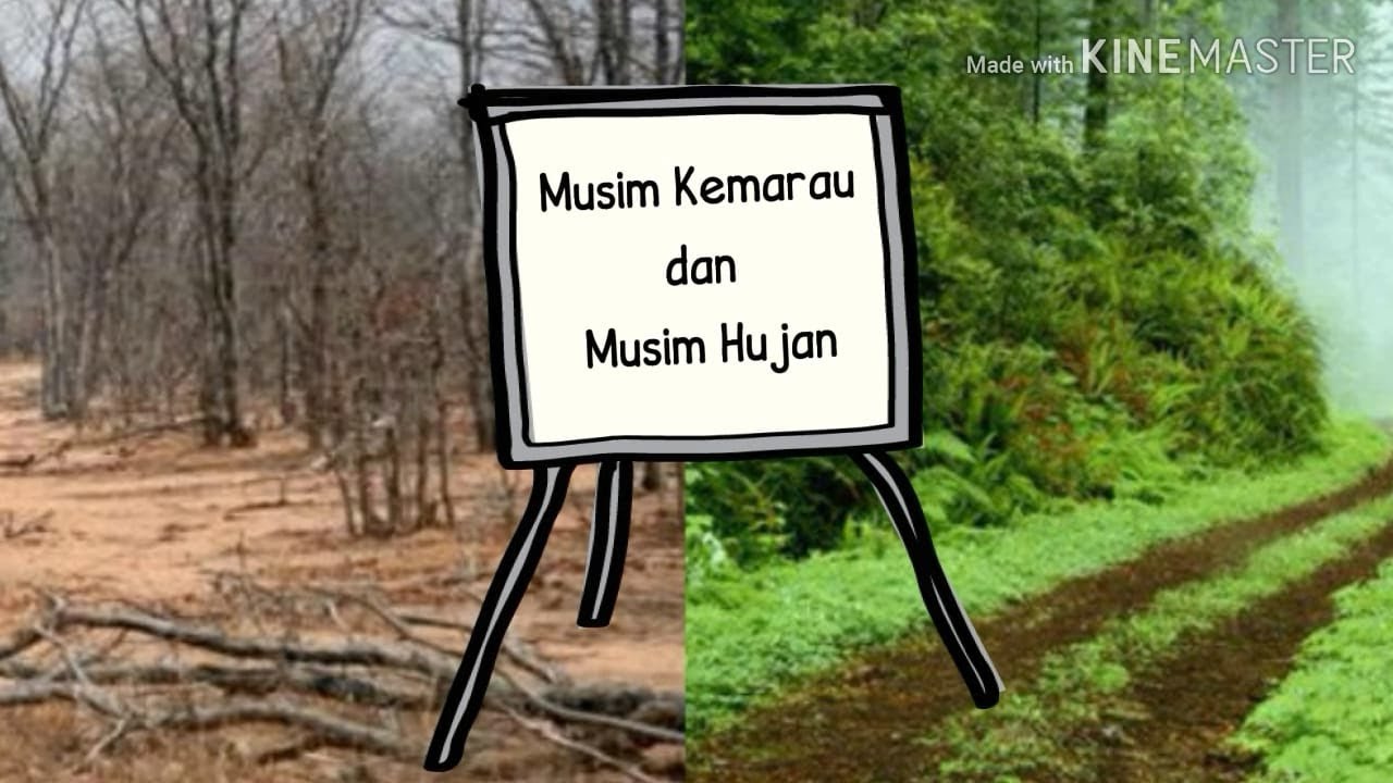 Detail Gambar Musim Hujan Dan Kemarau Nomer 14
