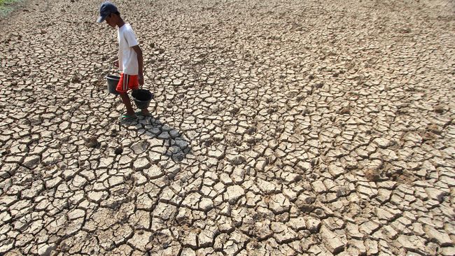 Detail Gambar Musim Hujan Dan Kemarau Nomer 21