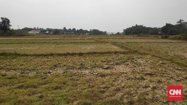 Detail Gambar Musim Hujan Dan Kemarau Nomer 42
