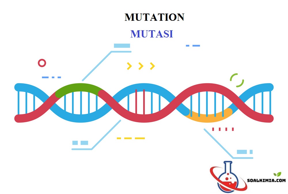 Detail Gambar Mutasi Gen Nomer 19