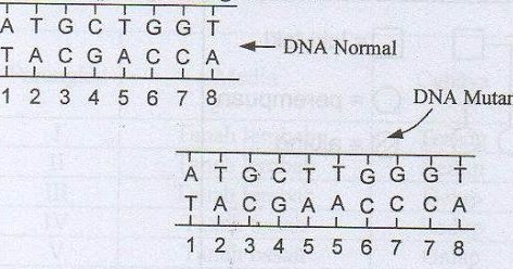 Detail Gambar Mutasi Gen Nomer 20