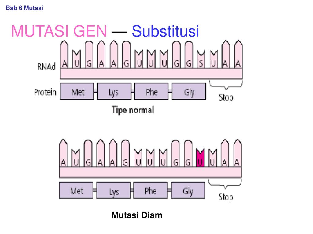 Detail Gambar Mutasi Gen Nomer 42