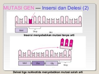 Detail Gambar Mutasi Gen Nomer 50