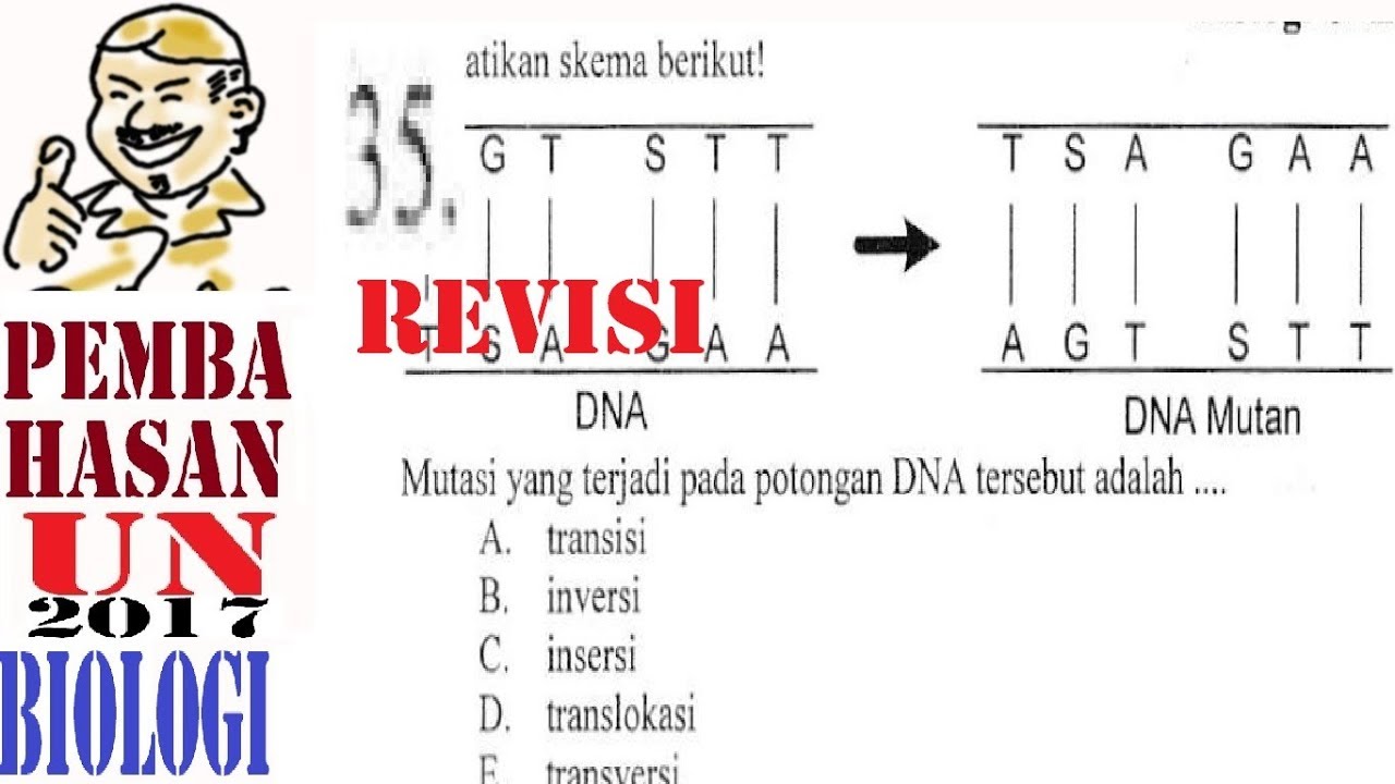 Detail Gambar Mutasi Translokasi Nomer 27