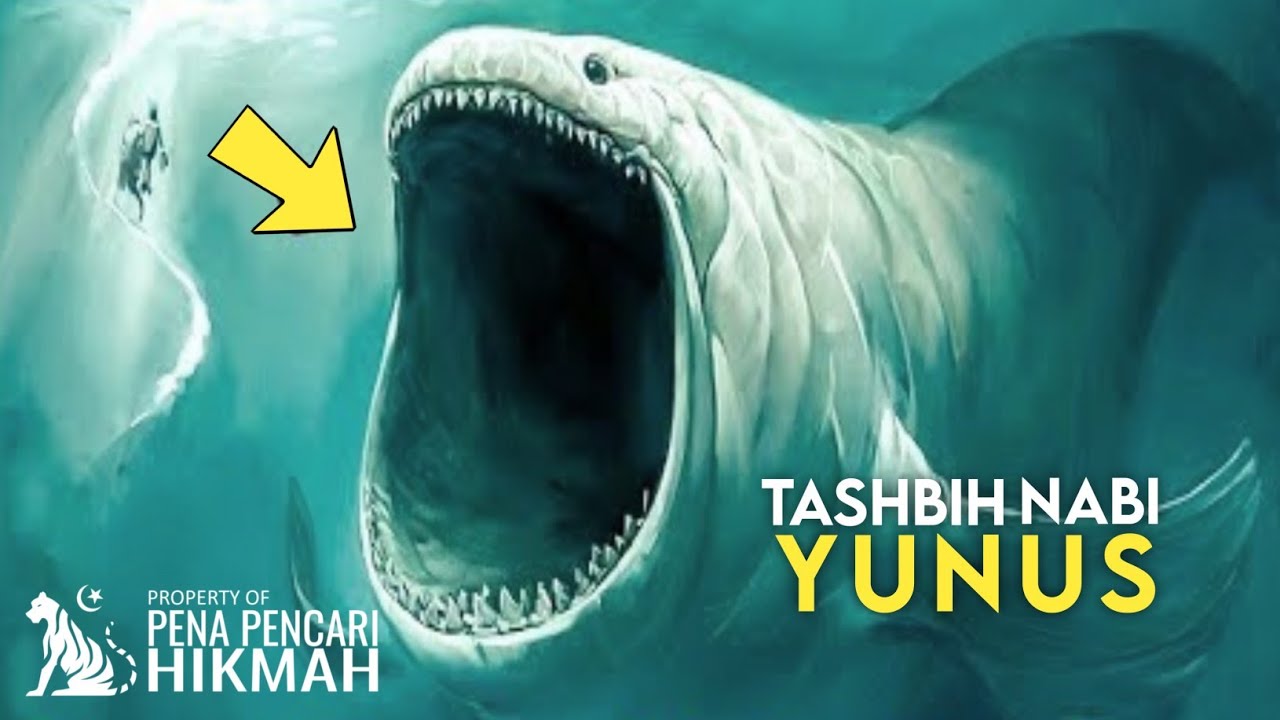 Detail Gambar Nabi Yunus Dalam Perut Ikan Nomer 19
