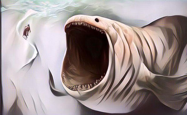 Detail Gambar Nabi Yunus Dalam Perut Ikan Nomer 28