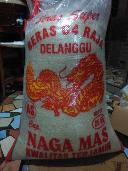 Detail Gambar Naga Mas Nomer 54