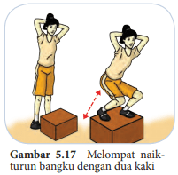 Detail Gambar Naik Turun Bangku Nomer 35