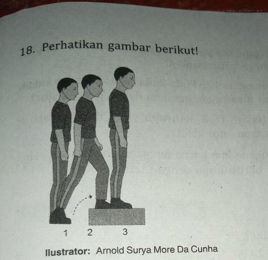 Detail Gambar Naik Turun Bangku Nomer 39