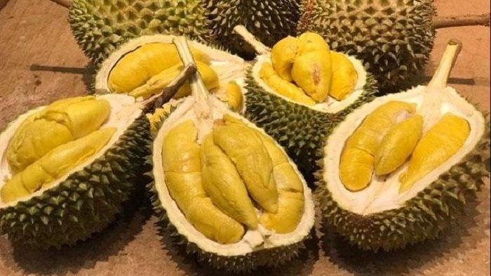 Gambar Nangka Durian Pete - KibrisPDR