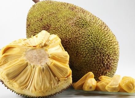 Detail Gambar Nangka Matang Nomer 10