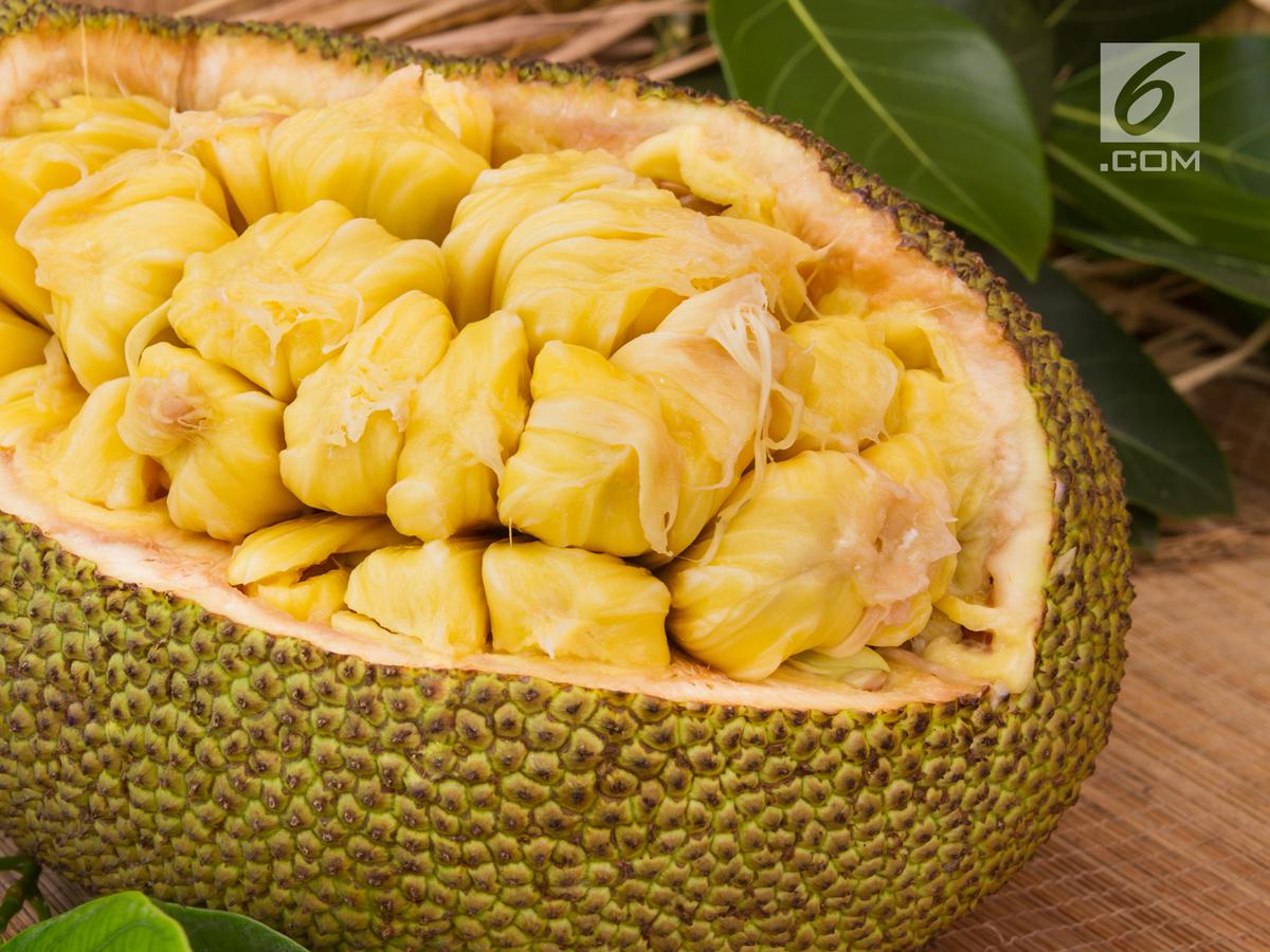 Detail Gambar Nangka Matang Nomer 14