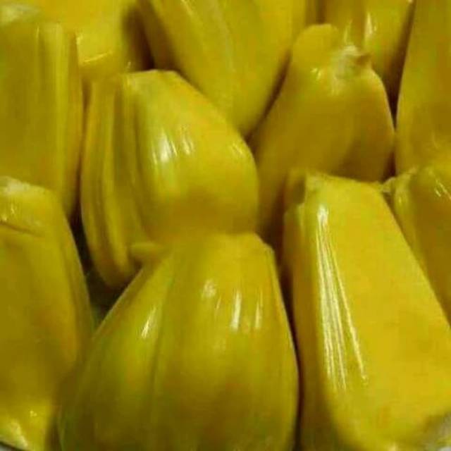 Detail Gambar Nangka Matang Nomer 31