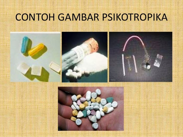 Detail Gambar Narkoba Pistrotopika Nomer 23