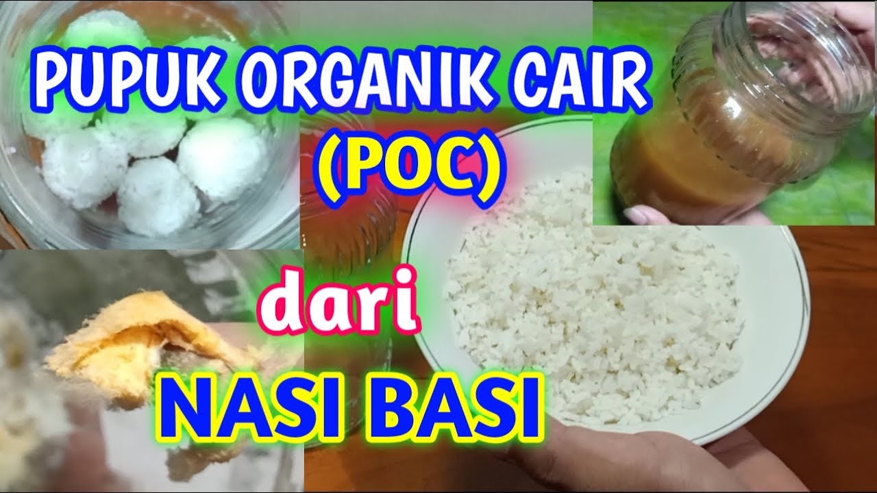 Detail Gambar Nasi Basi Nomer 38