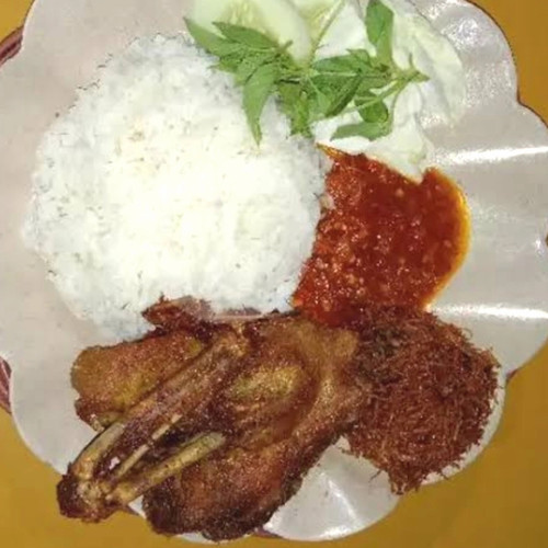 Detail Gambar Nasi Bebek Nomer 34