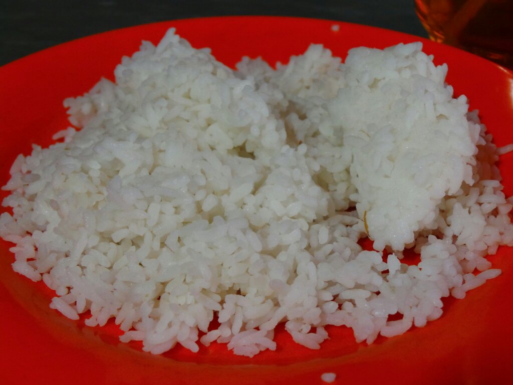 Detail Gambar Nasi Di Piring Nomer 48