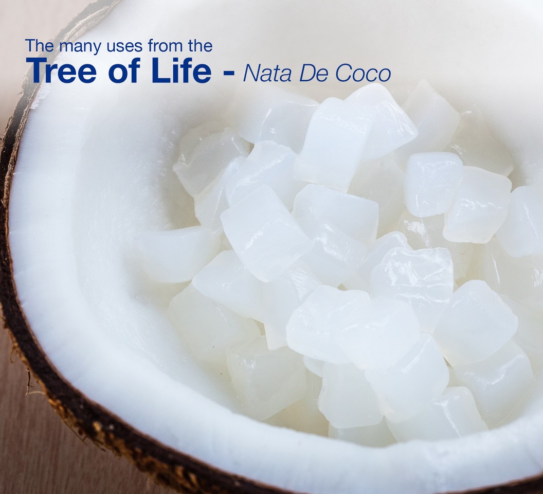 Detail Gambar Nata De Coco Nomer 4