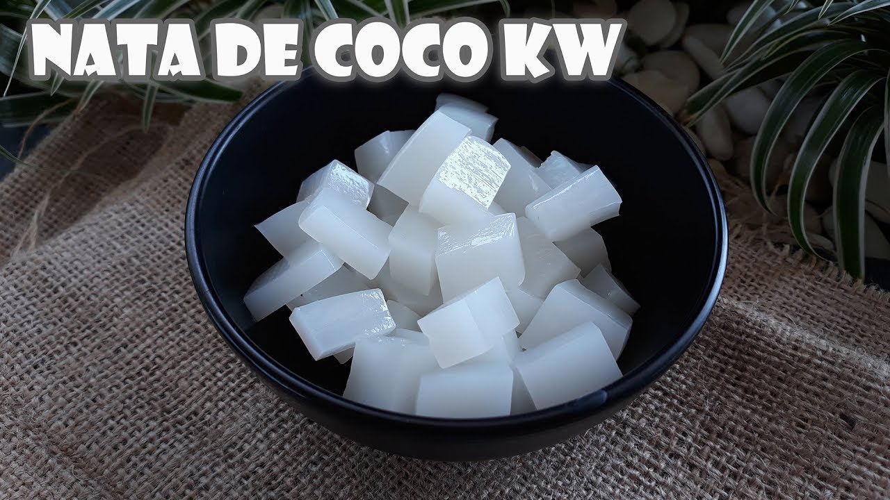 Detail Gambar Nata De Coco Nomer 44