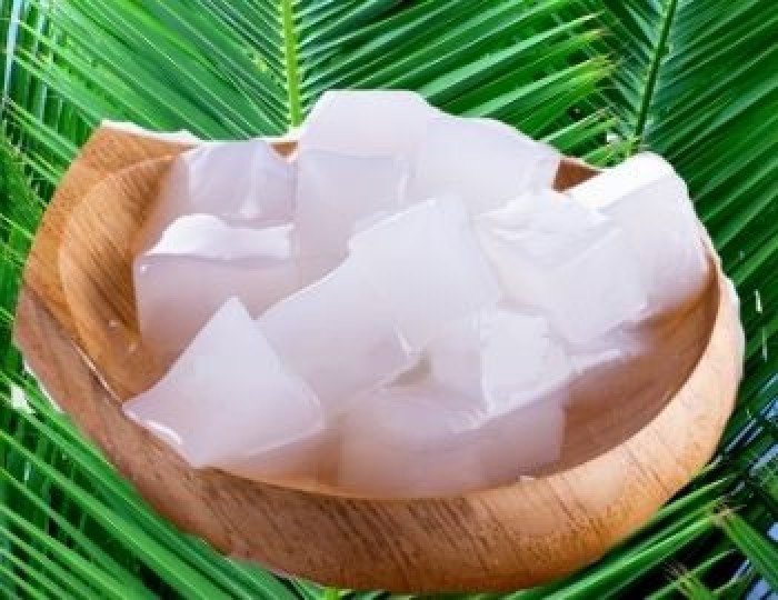 Detail Gambar Nata De Coco Nomer 10