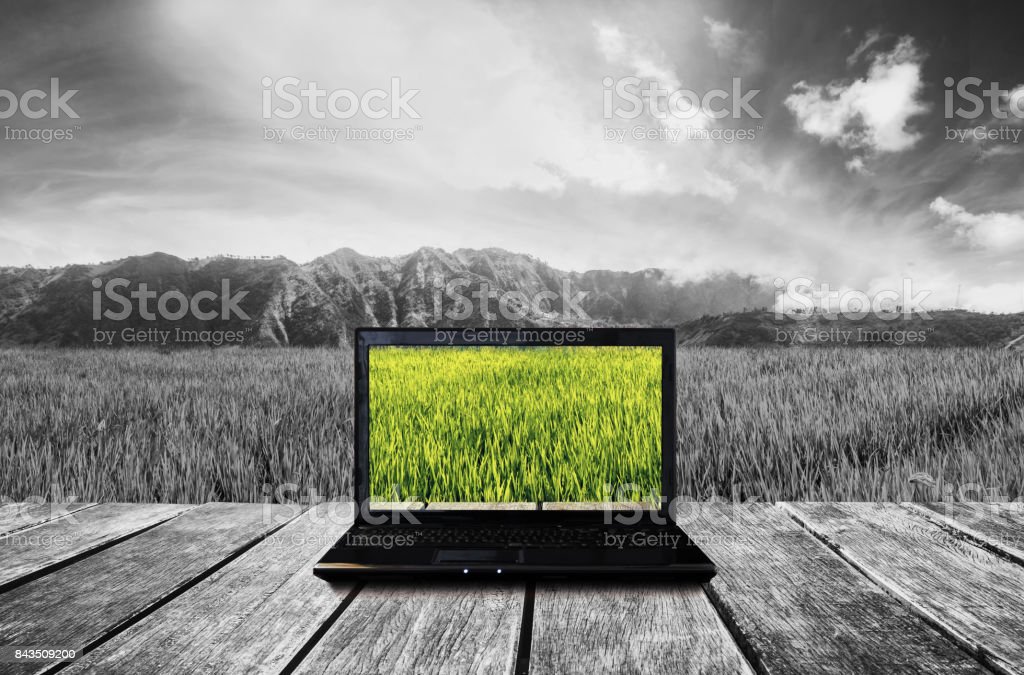 Detail Gambar Nature Alam Kualitas Bagus Buat Laptop Nomer 8