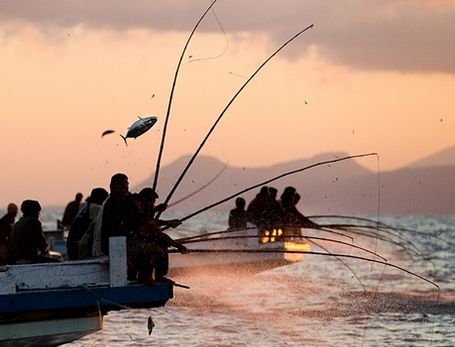 Detail Gambar Nelayan Mancing Ikan Nomer 9