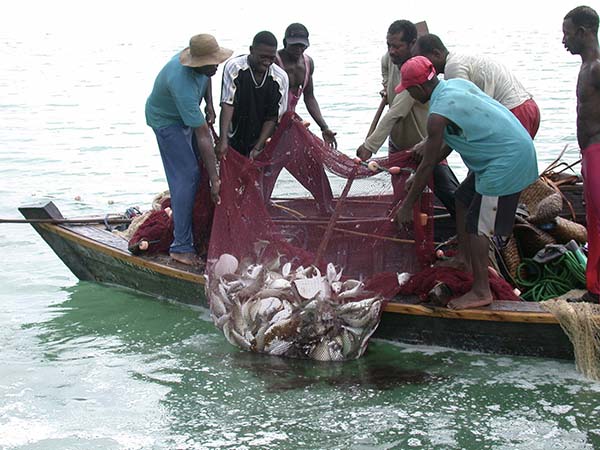 Detail Gambar Nelayan Menangkap Ikan Nomer 3