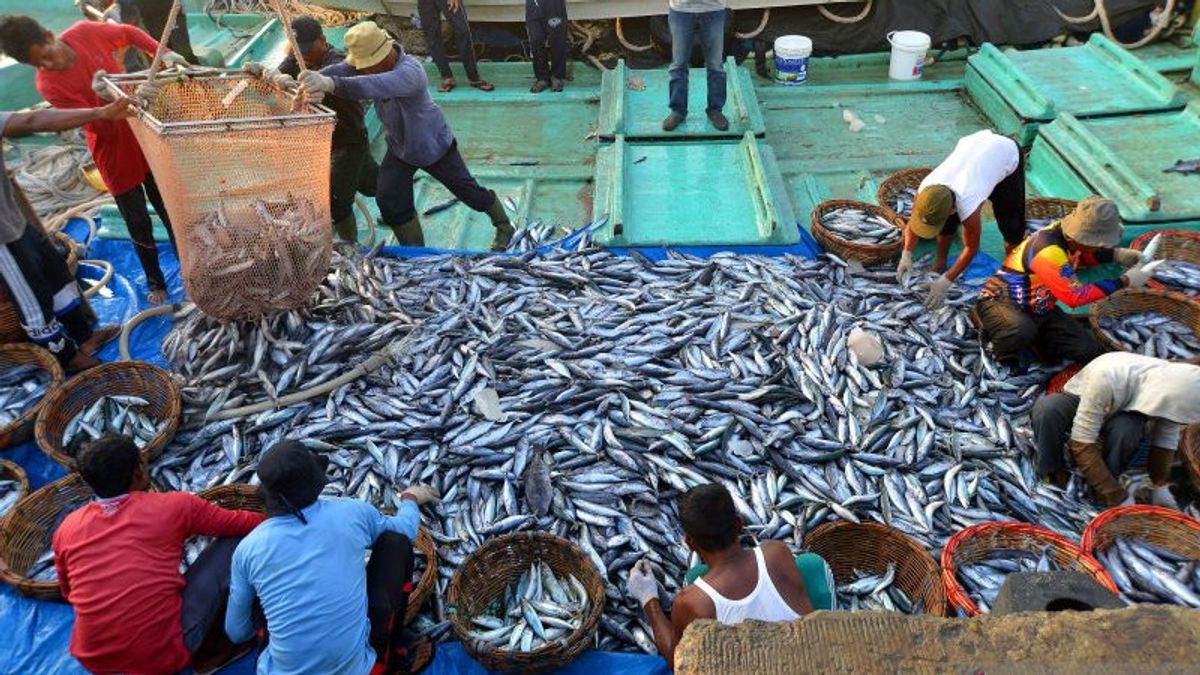 Detail Gambar Nelayan Menangkap Ikan Nomer 24