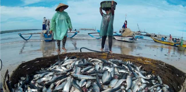 Detail Gambar Nelayan Menangkap Ikan Nomer 33