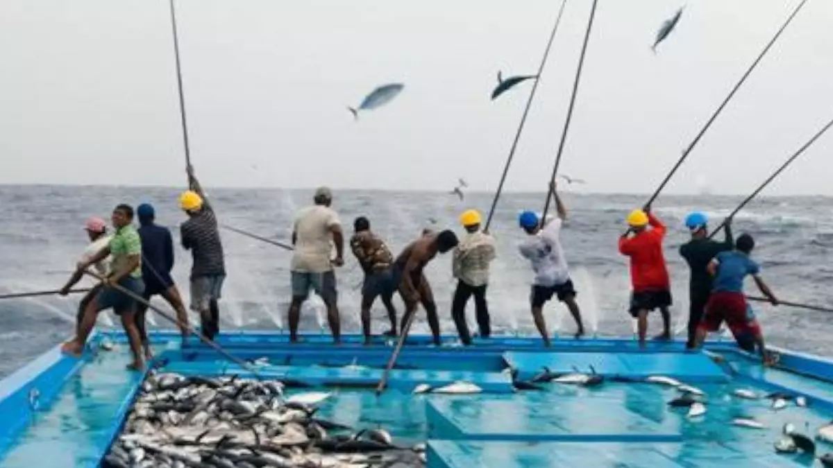 Detail Gambar Nelayan Menangkap Ikan Nomer 41