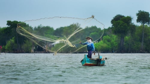 Detail Gambar Nelayan Menangkap Ikan Di Laut Nomer 4