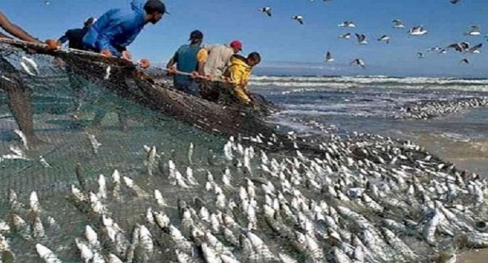 Detail Gambar Nelayan Menangkap Ikan Di Laut Nomer 10