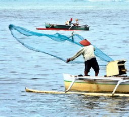 Detail Gambar Nelayan Mencari Ikan Nomer 13