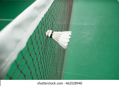 Detail Gambar Net Bulutangkis Nomer 31