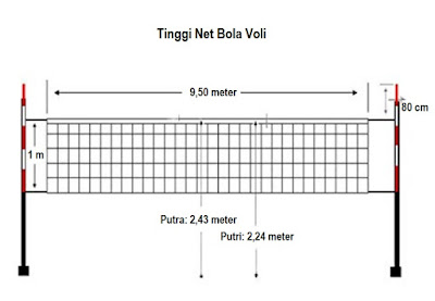 Detail Gambar Net Lapangan Bola Voli Nomer 3