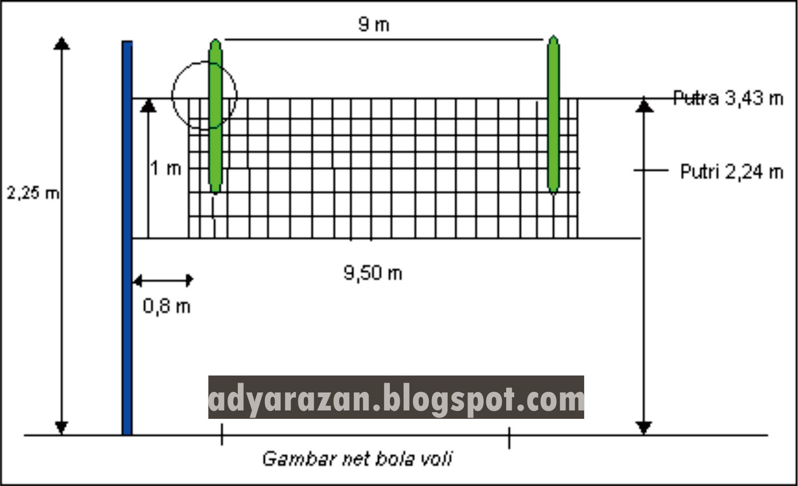 Detail Gambar Net Lapangan Bola Voli Nomer 9