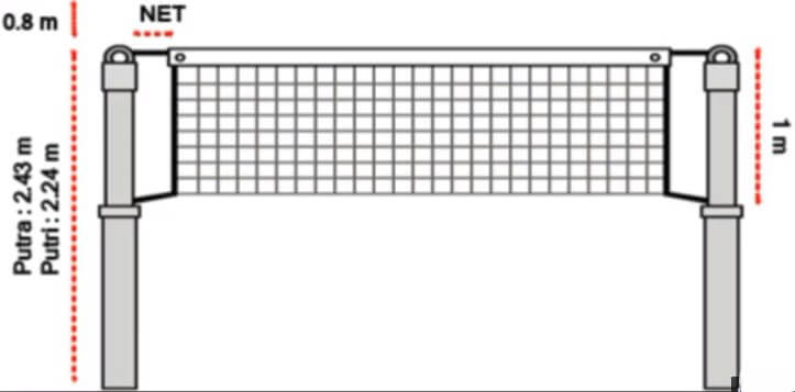 Detail Gambar Net Voli Nomer 21