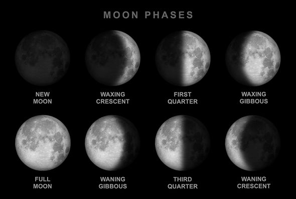 Detail Gambar New Lunar Nomer 20