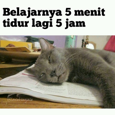 Detail Gambar Ngantuk Meme Nomer 35