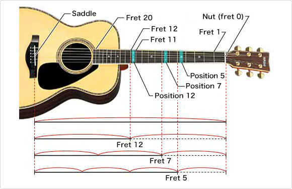 Detail Gambar Not Not Di Fret Dan String Gitar Nomer 45