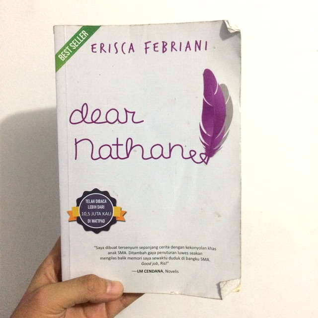 Detail Gambar Novel Dear Nathan Nomer 12